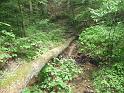 Hood's Branch Trail (3)